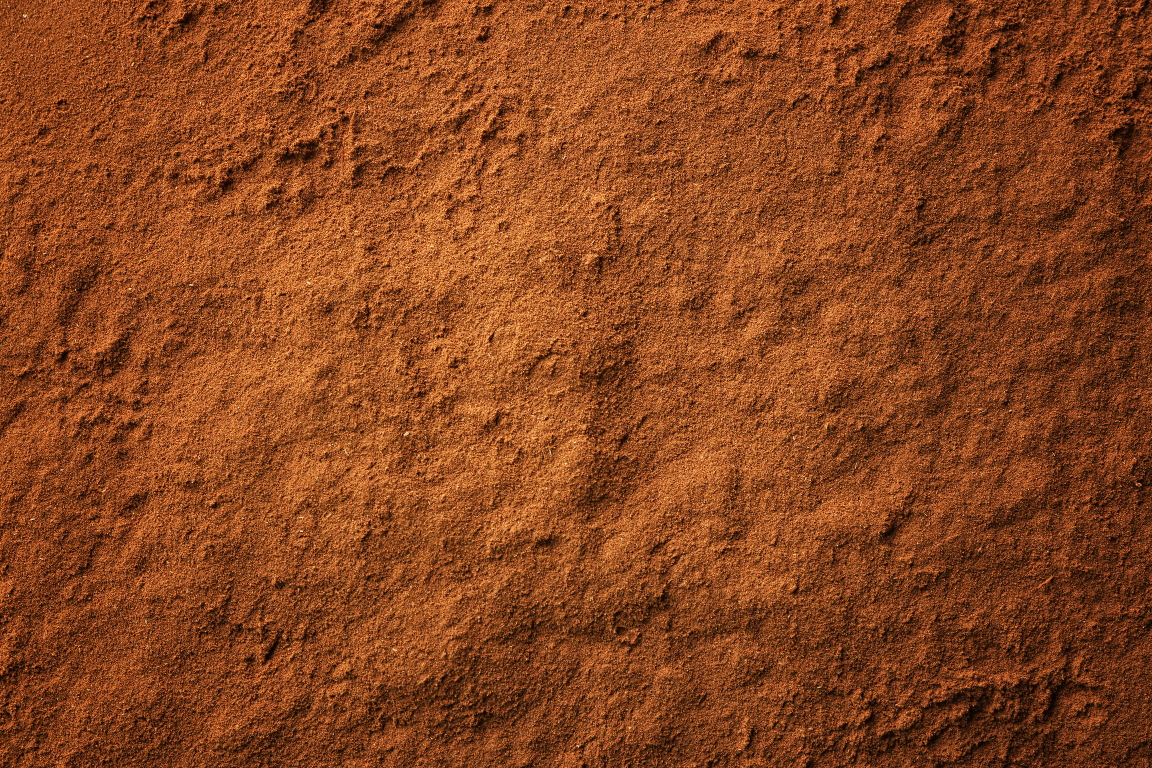 Cinnamon Powder as Background